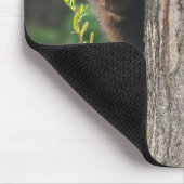 Schwarzbärenkuppe im Springtime Mousepad (Ecke)