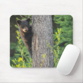 Schwarzbärenkuppe im Springtime Mousepad (Mit Mouse)