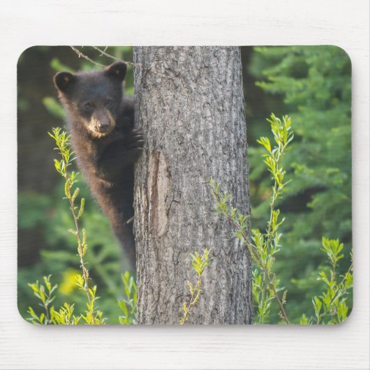 Schwarzbärenkuppe im Springtime Mousepad (Vorne)
