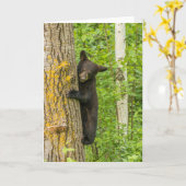 Schwarzbärenkuppe | Minnesota Karte (Gelbe Blume)