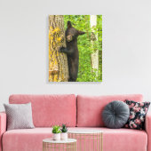 Schwarzbärenkuppe | Minnesota Leinwanddruck (Insitu (Wohnzimmer))