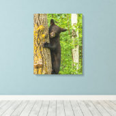 Schwarzbärenkuppe | Minnesota Leinwanddruck (Insitu (Holzboden))