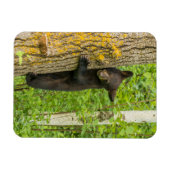 Schwarzbärenkuppe | Minnesota Magnet (Horizontal)