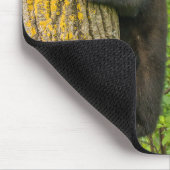 Schwarzbärenkuppe | Minnesota Mousepad (Ecke)