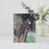 Schwarzbärenkuppe Postkarte (Stehend Vorderseite)