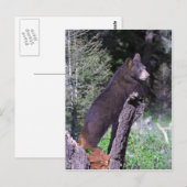 Schwarzbärenkuppe Postkarte (Vorne/Hinten)