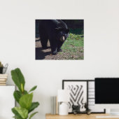 Schwarzbärenposter Poster (Heimbüro)