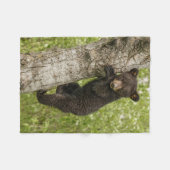 Schwarzbärjunges im Baum Fleecedecke (Vorderseite (Horizontal))