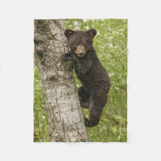 Schwarzbärjunges im Baum Fleecedecke (Vorderseite)