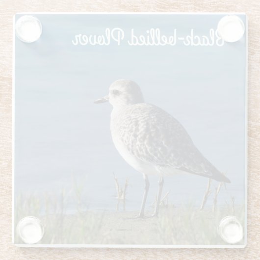 Schwarzbauchpfeifer Glasuntersetzer (Rückseite)