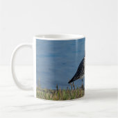 Schwarzbauchpfeifer Kaffeetasse (Links)