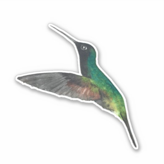 Schwarzbäuerlicher Hummingbird Aufkleber (Vorderseite)