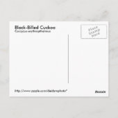 Schwarzbillige Kuckuck-Postkarte Postkarte (Rückseite)