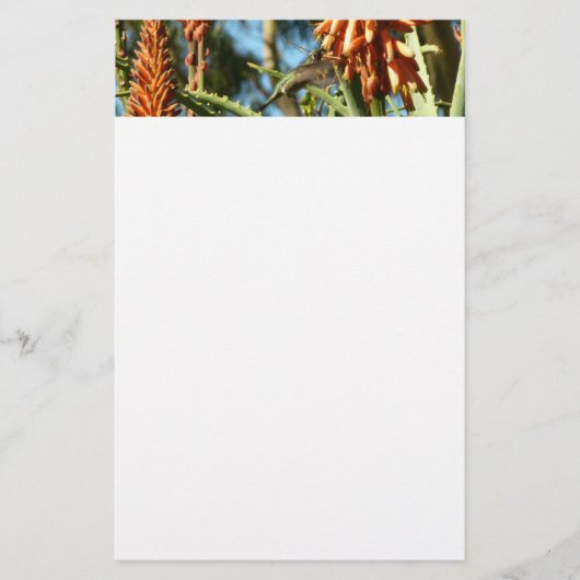 Schwarzbraun-Hummingvogel im Flug Briefpapier (Vorderseite)