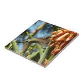 Schwarzbraun-Hummingvogel im Flug Fliese (Seite)