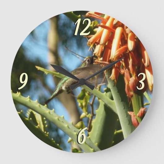 Schwarzbraun-Hummingvogel im Flug Große Wanduhr (Vorderseite)
