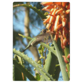 Schwarzbraun-Hummingvogel im Flug Klemmbrett (Rückseite)