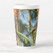 Schwarzbraun-Hummingvogel im Flug Milchtasse (Vorderseite)