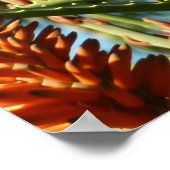 Schwarzbraun-Hummingvogel im Flug Poster (Ecke)