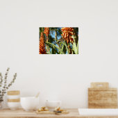 Schwarzbraun-Hummingvogel im Flug Poster (Küche)