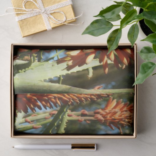 Schwarzbraun-Hummingvogel im Flug Seidenpapier (Geschenk)