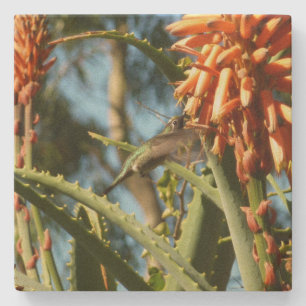 Schwarzbraun-Hummingvogel im Flug Steinuntersetzer