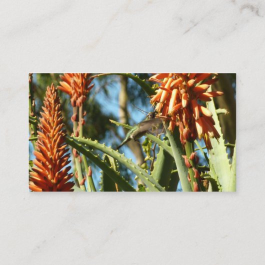 Schwarzbraun-Hummingvogel im Flug Visitenkarte (Rückseite)