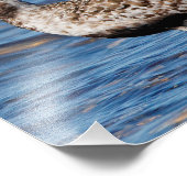 Schwarzbündner Plover an der Küste Fotodruck (Ecke)