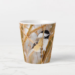 Schwarzdeckenameise - Originalfotografie Milchtasse