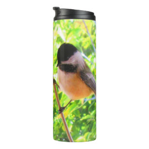 Schwarzdeckenameisenpitta Süßer Singvogel Thermosbecher