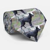 schwarzdeutscher Schäfervoll Krawatte (Gerollt)