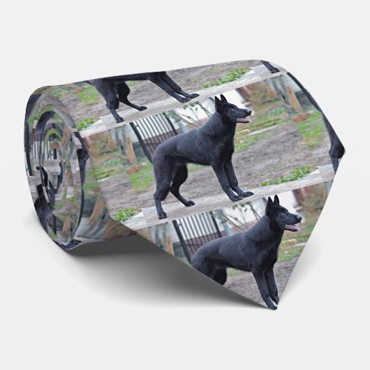 schwarzdeutscher Schäfervoll Krawatte (Gerollt)