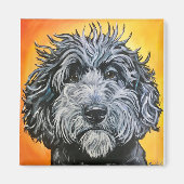 Schwarzdoodle Magnet (Vorne)