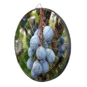 Schwarzdornfrucht Dartscheibe (Vorderseite rechts)