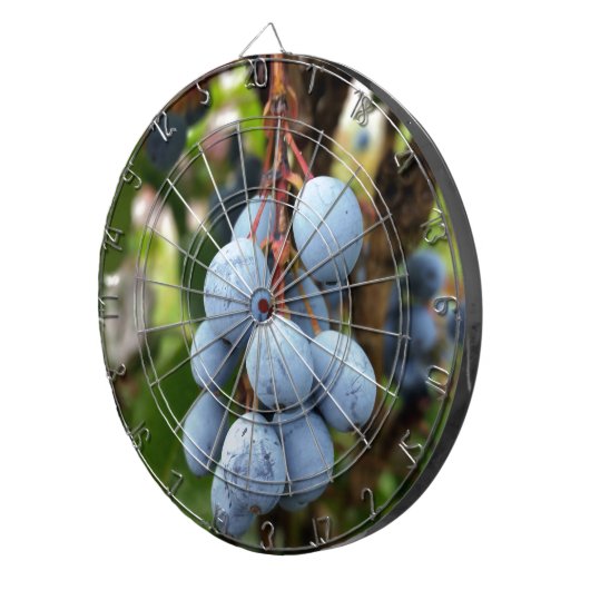 Schwarzdornfrucht Dartscheibe (Vorderseite rechts)