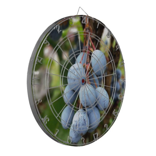 Schwarzdornfrucht Dartscheibe (Vorderseite Links)