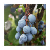 Schwarzdornfrucht Fliese (Vorderseite)