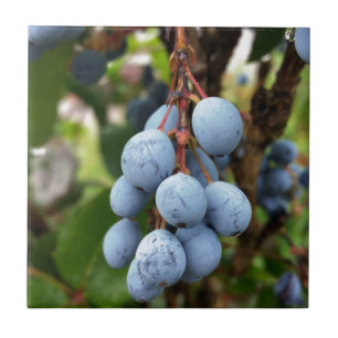 Schwarzdornfrucht Fliese