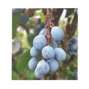 Schwarzdornfrucht Notizblock