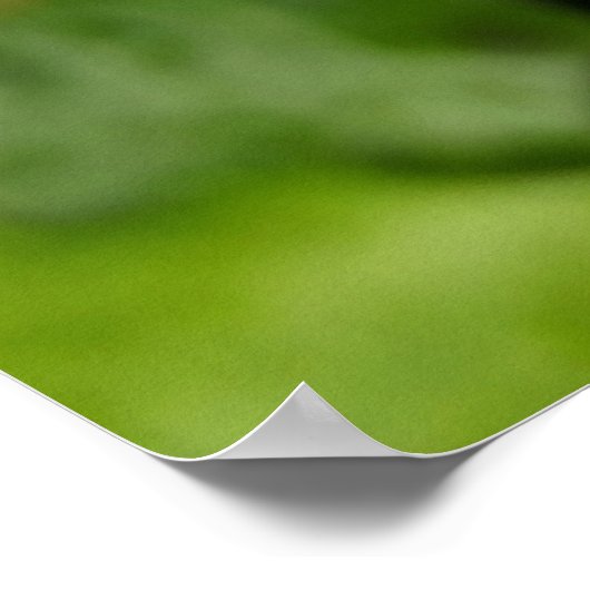 Schwarzdornfrucht Poster (Ecke)