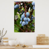 Schwarzdornfrucht Poster (Küche)