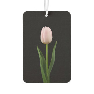 Schwarze 4 Luxe Auto-Luftverbesserer Blush Pink Tu Autolufterfrischer