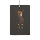 Schwarze 4 Luxe Auto-Luftverbesserer, Forest Okapi Autolufterfrischer (Vorderseite)
