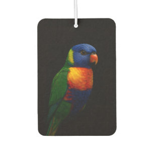 Schwarze 4 Luxe Auto-Luftverbesserer, Lorikeet-Pap Autolufterfrischer