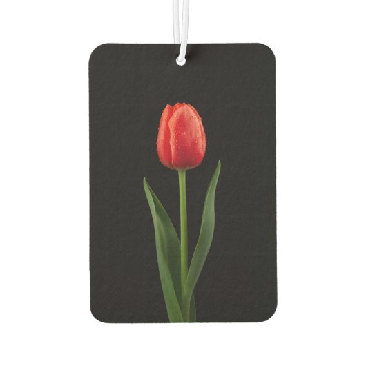 Schwarze 4 Luxe Auto-Luftverbesserer Ruby Red Tulp Autolufterfrischer (Rückseite)