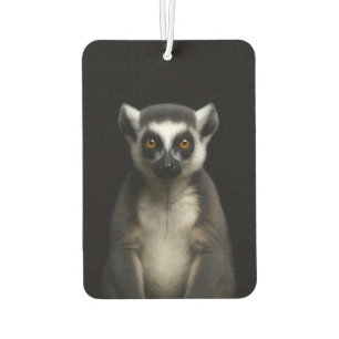 Schwarze 4 Luxe Auto-Luftverbesserer Sanfter Lemur Autolufterfrischer
