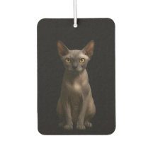 Schwarze 4 Luxe Auto Luftverbesserer, Sphynx-Katze