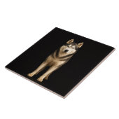 Schwarze 4 Luxe-Fliese mit Icy Elite Husky Fliese (Seite)