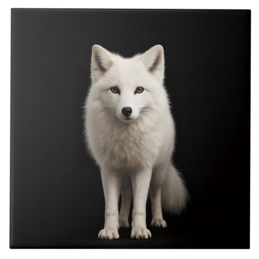 Schwarze 4 Luxe-Fliese mit Ivory Arctic Fox Fliese (Vorderseite)