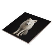 Schwarze 4 Luxe-Fliese mit Ivory Arctic Fox Fliese (Seite)